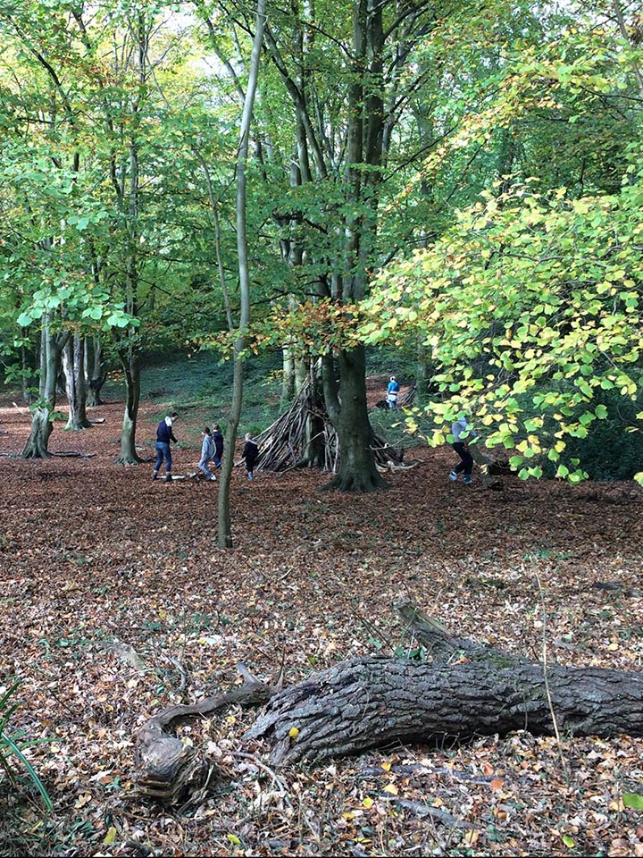 woodland